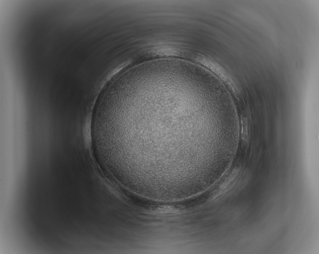 X0000102270390200807251353