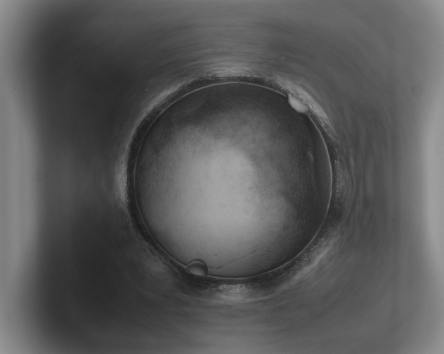 X0000102270391200807251353