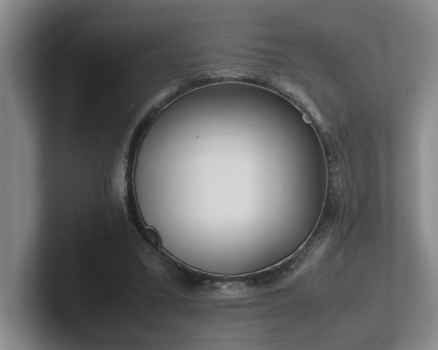 X0000102270395200807251353