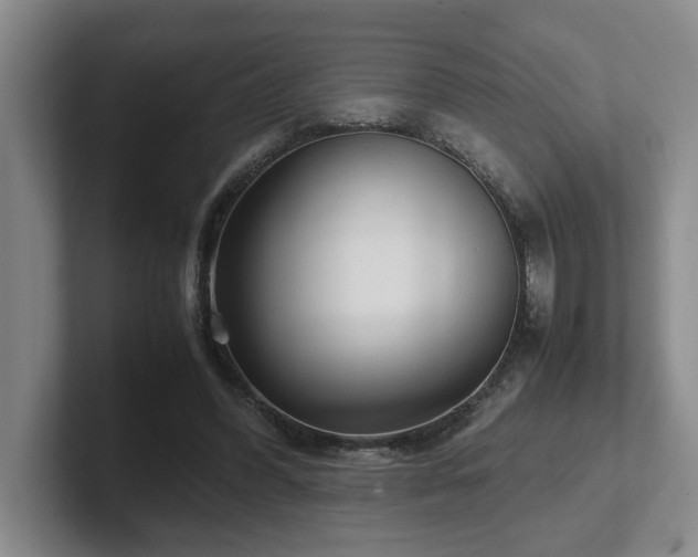 X0000102270396200807251353