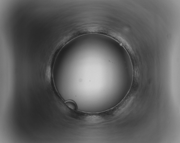X0000102270397200807251353