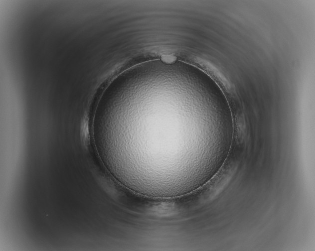X0000102270398200807251353
