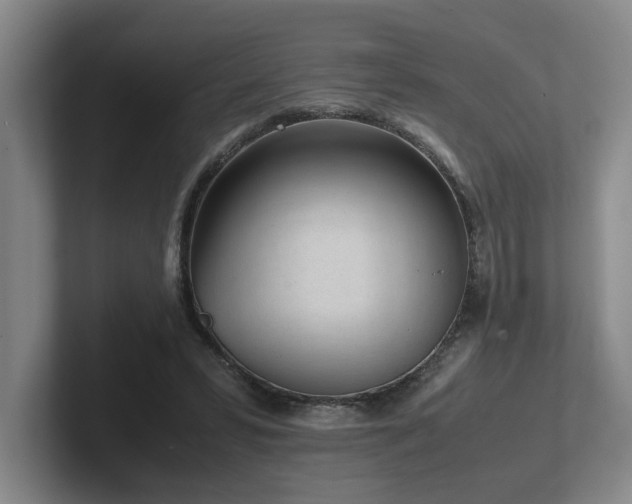 X0000102270399200807251353