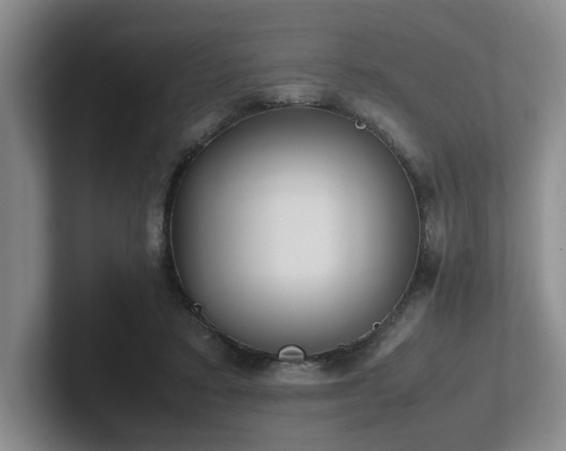 X0000102270403200807251353