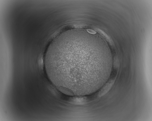 X0000102270405200807251353