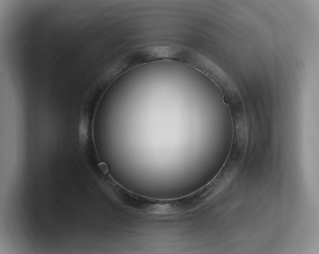 X0000102270406200807251353