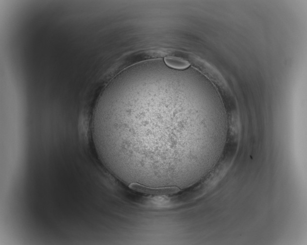 X0000102270409200807251353