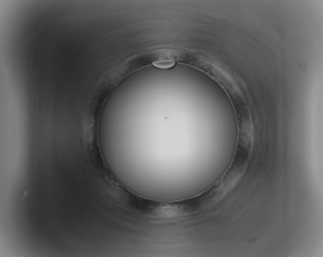 X0000102270413200807251353