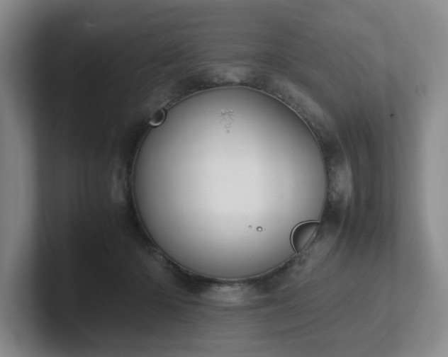X0000102270414200807251353