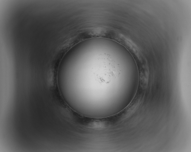 X0000102270416200807251353