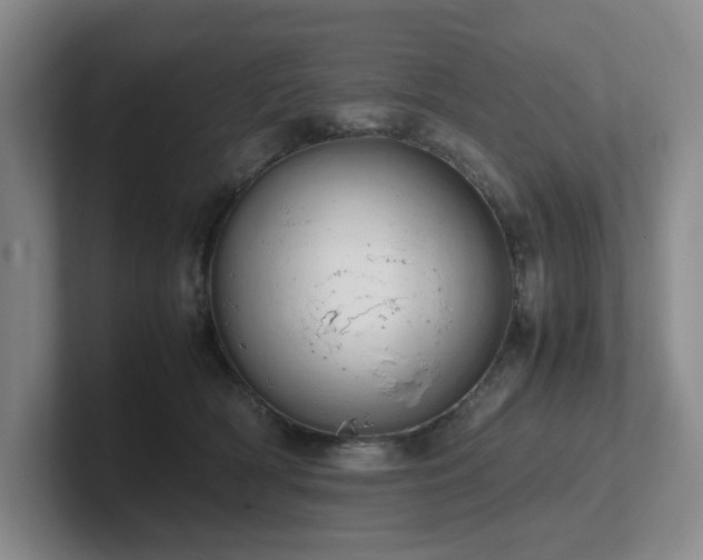 X0000102270418200807251353