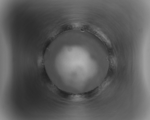 X0000102270419200807251353