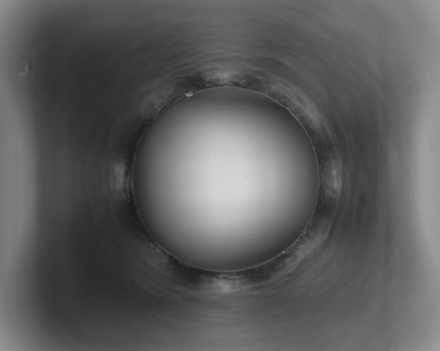 X0000102270420200807251353