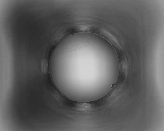 X0000102270421200807251353