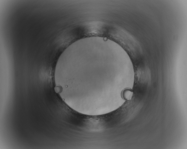 X0000102270423200807251353