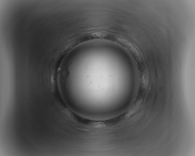 X0000102270424200807251353