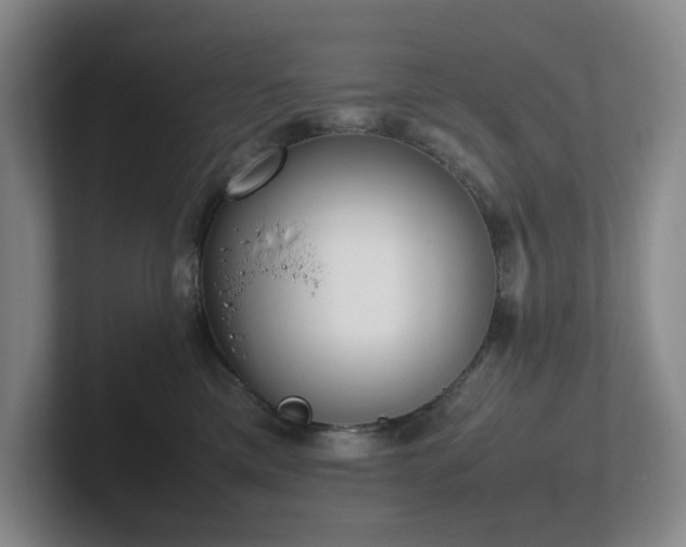 X0000102270425200807251353