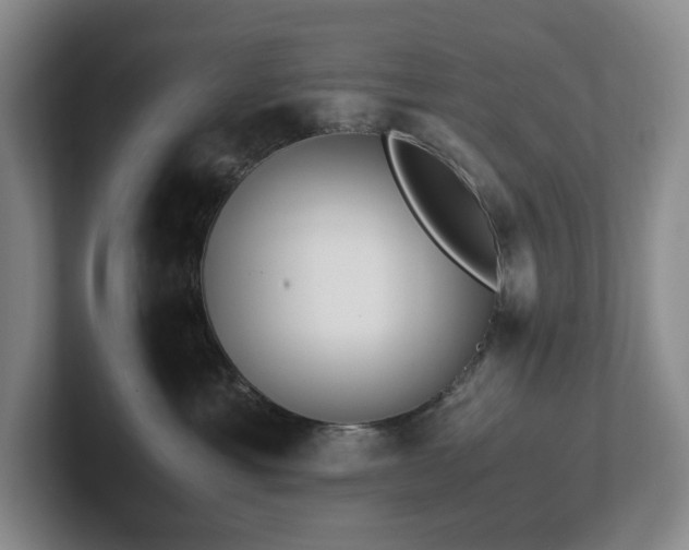 X0000102270429200807251353