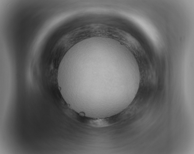 X0000102270431200807251353