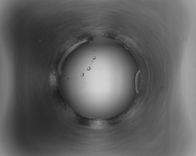 X0000102270432200807251353