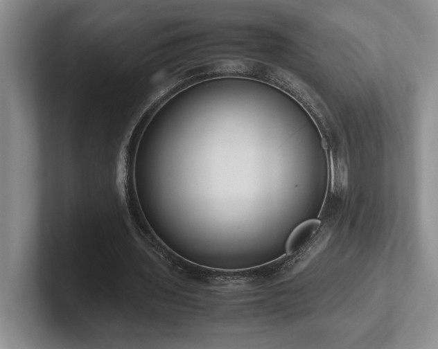 X0000102270435200807251352