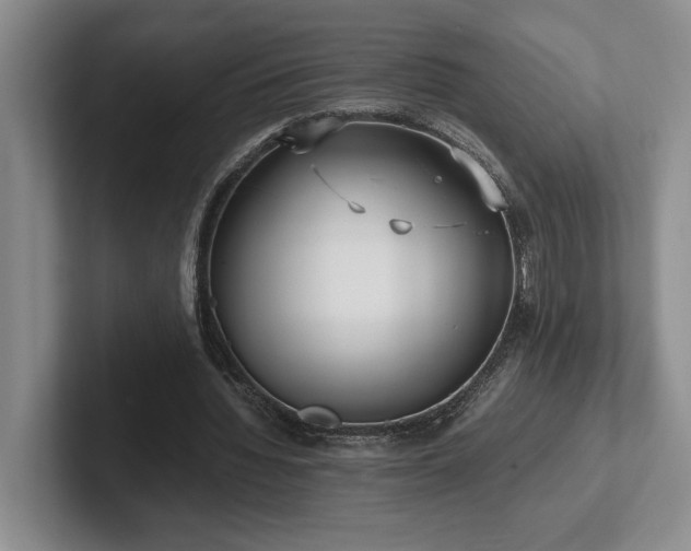 X0000102270436200807251352