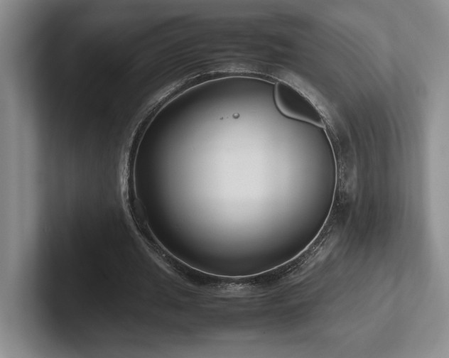 X0000102270437200807251352