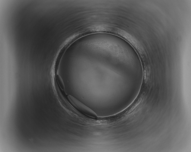 X0000102270438200807251352