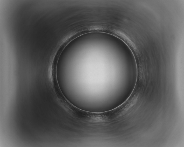 X0000102270439200807251352