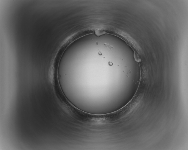 X0000102270440200807251352