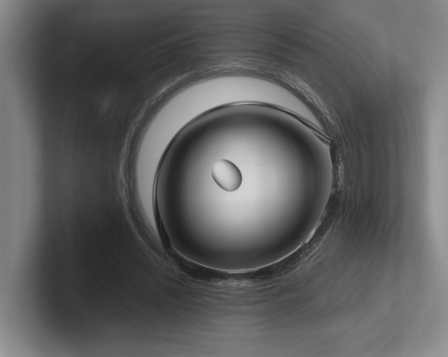 X0000102270444200807251352