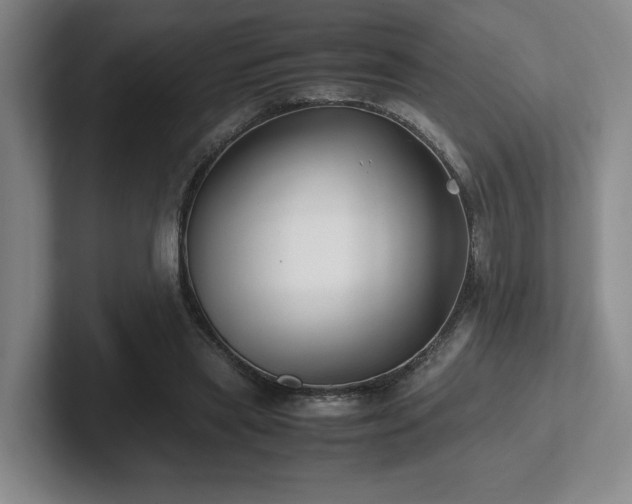 X0000102270445200807251352