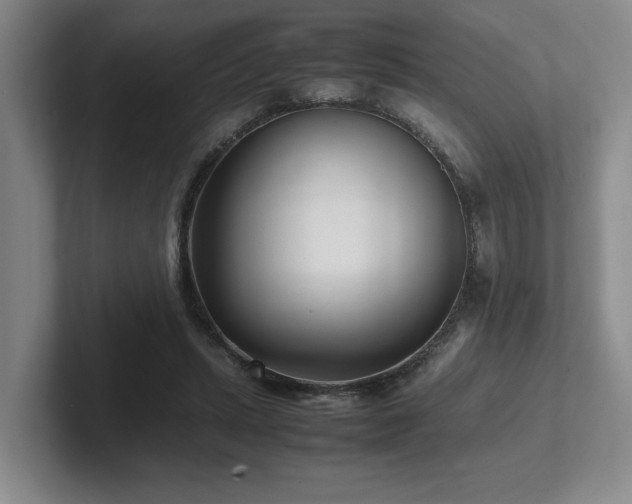 X0000102270447200807251352