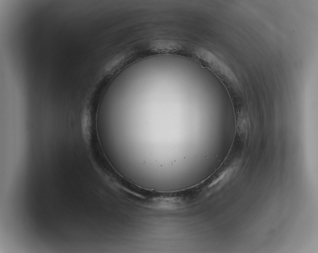X0000102270448200807251352
