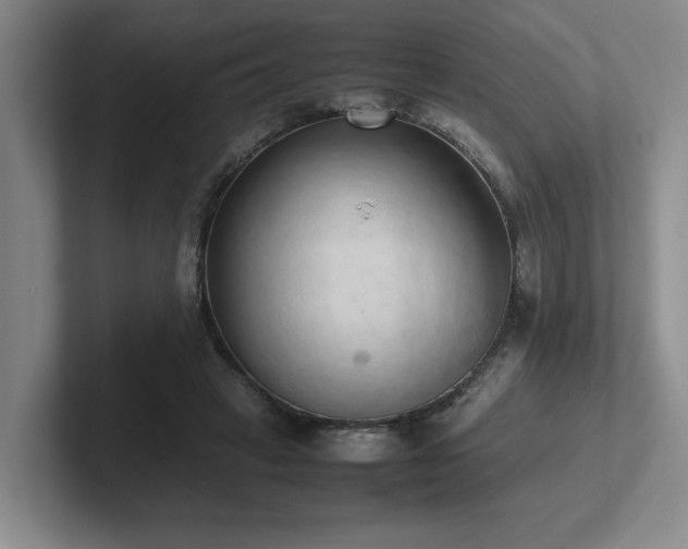 X0000102270449200807251352
