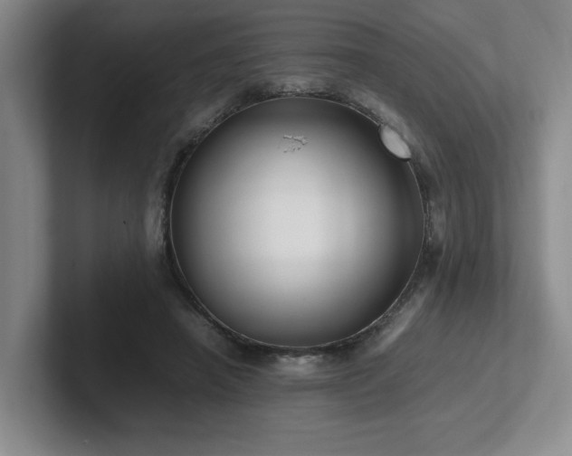 X0000102270450200807251352