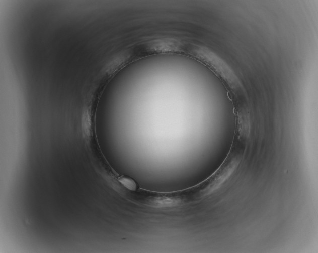 X0000102270453200807251353