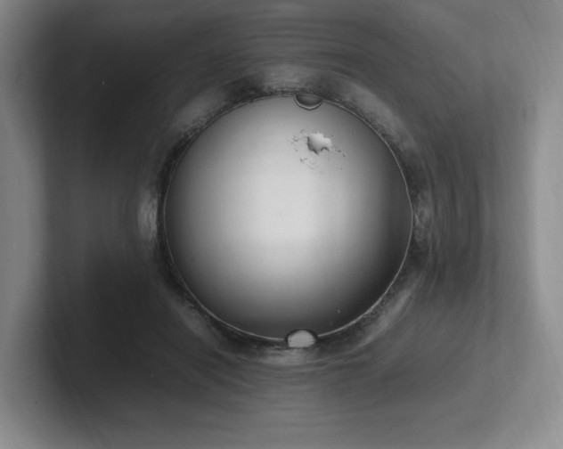 X0000102270454200807251353