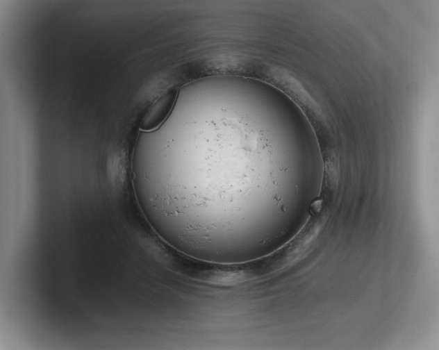 X0000102270458200807251353