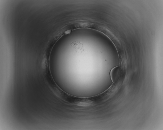 X0000102270459200807251353