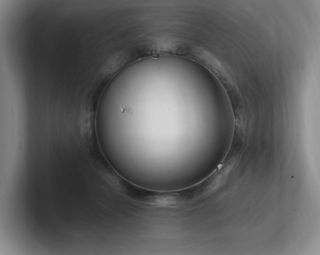 X0000102270462200807251353