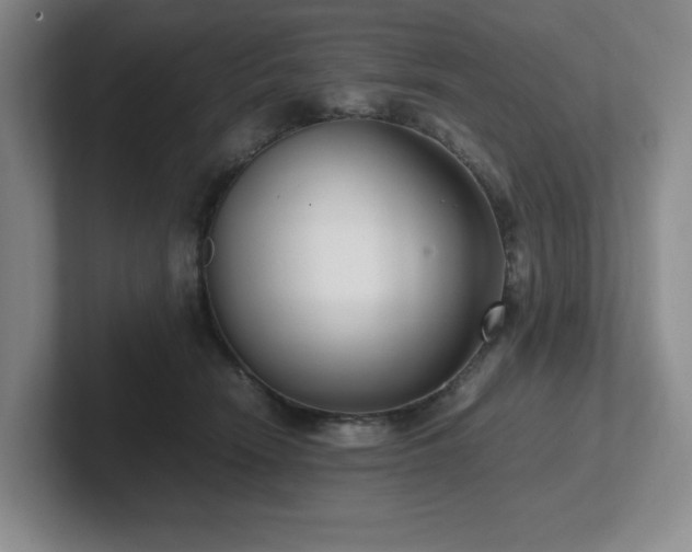 X0000102270466200807251353