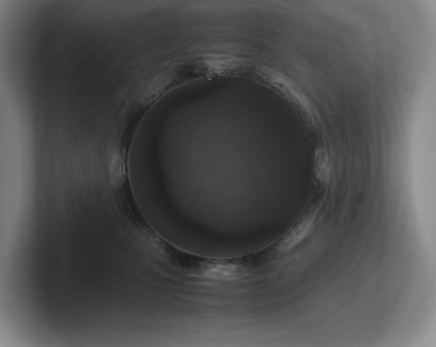 X0000102270471200807251353