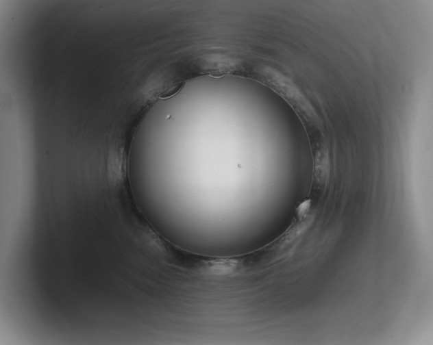 X0000102270474200807251353