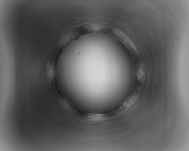 X0000102270476200807251353