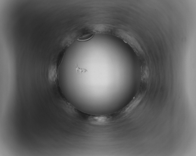 X0000102270478200807251353