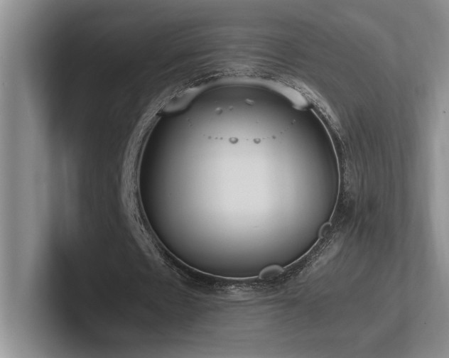 X0000102270481200807251352