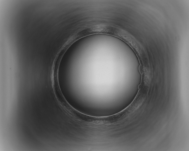 X0000102270482200807251352
