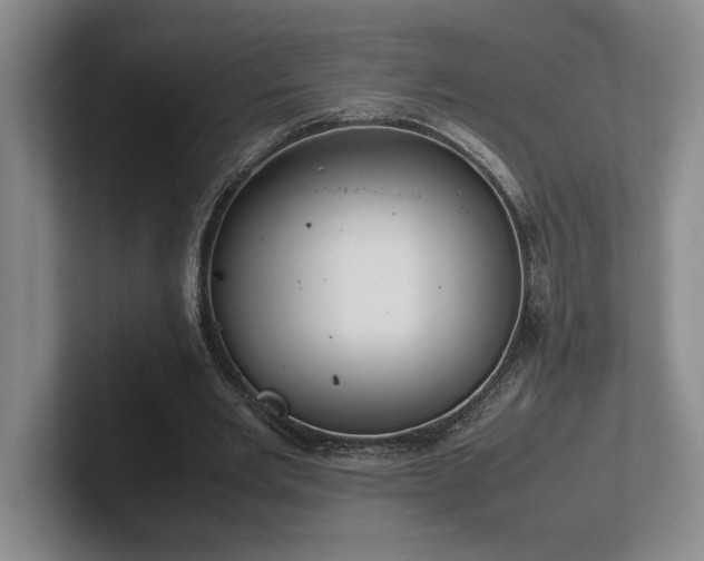 X0000102270485200807251352