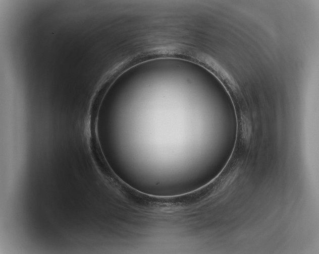 X0000102270486200807251352